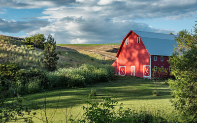 The Palouse Workshop  June 11th-15th 2014                     ** new workshop added **  June 18th-22nd, 2014