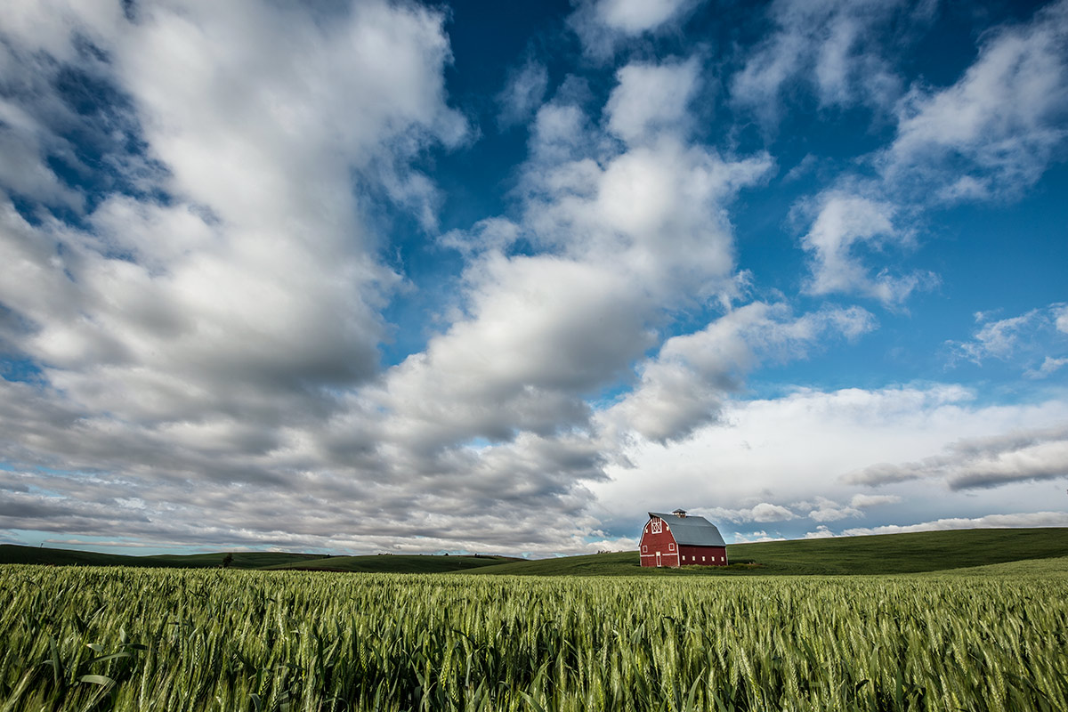 “Loose in the Palouse” workshop ~ ~  June 17-21,  2015