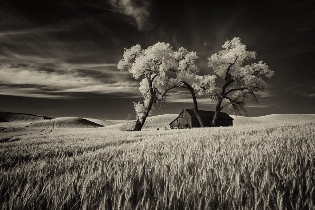 palouse_workshop_2015_11